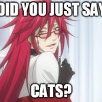 seductive grell | DID YOU JUST SAY CATS? | image tagged in seductive grell | made w/ Imgflip meme maker