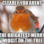 Bah Humbug | CLEARLY YOU ARENT THE BRIGHTEST MERRY MIDGIT ON THE TREE | image tagged in memes,bah humbug | made w/ Imgflip meme maker