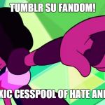 Garnet speaks out against most of the Tumblr SU fandom | TUMBLR SU FANDOM! YOU ARE A TOXIC CESSPOOL OF HATE AND HYPOCRISY! | image tagged in garnet point,memes | made w/ Imgflip meme maker