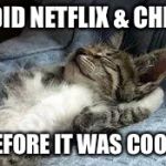 The Chillin kitten | I DID NETFLIX & CHILL BEFORE IT WAS COOL! | image tagged in the chillin kitten,netflix,netflix and chill,cool | made w/ Imgflip meme maker