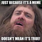 Dumb Bruh | JUST BECAUSE IT'S A MEME DOESN'T MEAN IT'S TRUE! | image tagged in dumb bruh,dumb,memes,meme,true,true story | made w/ Imgflip meme maker