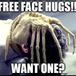 facehugger | FREE FACE HUGS!!! WANT ONE? | image tagged in facehugger | made w/ Imgflip meme maker