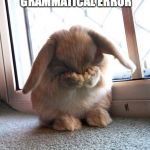 embarrassed bunny | WHEN YOU FIND THE GRAMMATICAL ERROR AFTER 20 RETWEETS | image tagged in embarrassed bunny | made w/ Imgflip meme maker