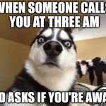 Husky Richard | WHEN SOMEONE CALLS YOU AT THREE AM AND ASKS IF YOU'RE AWAKE | image tagged in husky richard | made w/ Imgflip meme maker