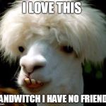 Dumbass | I LOVE THIS SANDWITCH I HAVE NO FRIENDS | image tagged in dumbass | made w/ Imgflip meme maker
