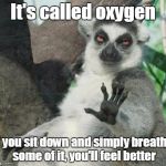 Stop!!! | It's called oxygen If you sit down and simply breathe some of it, you'll feel better | image tagged in memes,chill out lemur,relax,funny | made w/ Imgflip meme maker