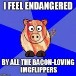 Self-Endangerment Pig | I FEEL ENDANGERED BY ALL THE BACON-LOVING IMGFLIPPERS | image tagged in self-endangerment pig | made w/ Imgflip meme maker