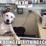 Be Patient  | MA'AM... I'M DOING EVERYTHING I CAN | image tagged in please wait,funny memes,funny,memes,dogs | made w/ Imgflip meme maker