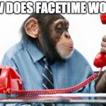 PhoneMonkey | HOW DOES FACETIME WORK? | image tagged in phonemonkey | made w/ Imgflip meme maker