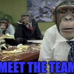 Office monkeys | MEET THE TEAM | image tagged in office monkeys | made w/ Imgflip meme maker