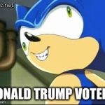 Derp sonic | DONALD TRUMP VOTERS | image tagged in derp sonic | made w/ Imgflip meme maker