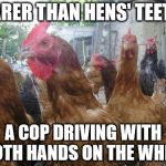 rarer | RARER THAN HENS' TEETH: A COP DRIVING WITH BOTH HANDS ON THE WHEEL | image tagged in chickens | made w/ Imgflip meme maker