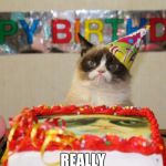 Grumpy Cat Cake | REALLY | image tagged in grumpy cat cake | made w/ Imgflip meme maker