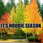 Fall Leaves | IT'S HOODIE SEASON | image tagged in fall leaves | made w/ Imgflip meme maker