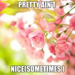 Pretty pink flowers | PRETTY AIN'T NICE(SOMETIMES ) | image tagged in pretty pink flowers | made w/ Imgflip meme maker