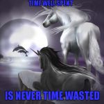 unicorns | TIME WELL SPENT IS NEVER TIME WASTED | image tagged in unicorns | made w/ Imgflip meme maker