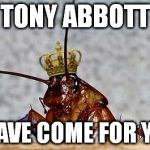 Cockroach King | TONY ABBOTT I HAVE COME FOR YOU | image tagged in cockroach king | made w/ Imgflip meme maker