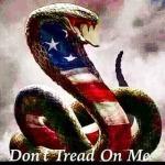 cobra snake patriotic meme