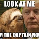 Political advice sloth | LOOK AT ME I'M THE CAPTAIN NOW | image tagged in political advice sloth,memes,captain phillips - i'm the captain now,donald trump | made w/ Imgflip meme maker