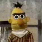 bert muppet what did i just see