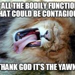 Original Post! Now yawn you sons of b****es!!! | OF ALL THE BODILY FUNCTIONS THAT COULD BE CONTAGIOUS THANK GOD IT'S THE YAWN! | image tagged in lion yawning,funny,funny memes,lion,yawn,thank god | made w/ Imgflip meme maker