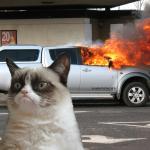 Grumpy Cat Fire Car meme