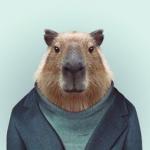 What If I Told You Capybara meme