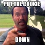 Arnold Put the Cookie Down | PUT THE COOKIE DOWN | image tagged in arnold put the cookie down | made w/ Imgflip meme maker
