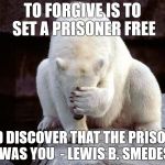That shameful confession facepalm | TO FORGIVE IS TO SET A PRISONER FREE AND DISCOVER THAT THE PRISONER WAS YOU  - LEWIS B. SMEDES | image tagged in that shameful confession facepalm | made w/ Imgflip meme maker