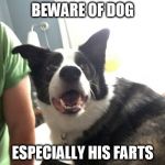 Jack-MWGL | BEWARE OF DOG ESPECIALLY HIS FARTS | image tagged in jack-mwgl | made w/ Imgflip meme maker