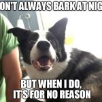 Jack-MWGL | I DON'T ALWAYS BARK AT NIGHT BUT WHEN I DO, IT'S FOR NO REASON | image tagged in jack-mwgl | made w/ Imgflip meme maker