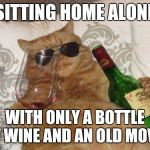 winecat | SITTING HOME ALONE WITH ONLY A BOTTLE OF WINE AND AN OLD MOVIE | image tagged in winecat | made w/ Imgflip meme maker