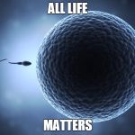 Sperm and Egg | ALL LIFE MATTERS | image tagged in sperm and egg | made w/ Imgflip meme maker