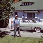 lawn