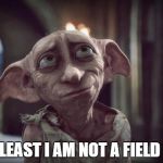 Small Victories | AT LEAST I AM NOT A FIELD ELF | image tagged in dobby,funny,small victories,racism | made w/ Imgflip meme maker