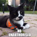 SAFETY CAT | SAFETY CAT SAYS UNAUTHORISED  ENTRY NO | image tagged in safety cat,territorial,no unauthorised entry,safety sign,memes | made w/ Imgflip meme maker