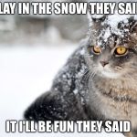 Cold kitty  | PLAY IN THE SNOW THEY SAID IT I'LL BE FUN THEY SAID | image tagged in cold kitty | made w/ Imgflip meme maker