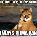 punny puma | WHEN SOMEONE POKES MY STOMACH I ALWAYS PUMA PANTS | image tagged in punny puma | made w/ Imgflip meme maker