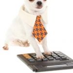 Dog Calculator | WHAT DO YOU MEAN THERE'S AN 'ON' SWITCH! | image tagged in dog calculator | made w/ Imgflip meme maker