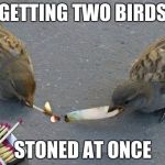 two birds stoned at once | GETTING TWO BIRDS STONED AT ONCE | image tagged in trailer park boys | made w/ Imgflip meme maker