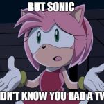 But Sonic! | BUT SONIC I DIDN'T KNOW YOU HAD A TWIN | image tagged in but sonic | made w/ Imgflip meme maker