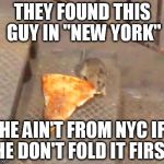 pizza rat | THEY FOUND THIS GUY IN "NEW YORK" HE AIN'T FROM NYC IF HE DON'T FOLD IT FIRST | image tagged in pizza rat | made w/ Imgflip meme maker