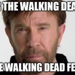 chuck norris | FEAR THE WALKING DEAD?? NO, THE WALKING DEAD FEAR ME. | image tagged in chuck norris | made w/ Imgflip meme maker
