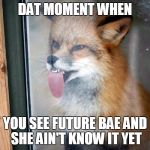 Thirsty_Fox | DAT MOMENT WHEN YOU SEE FUTURE BAE AND SHE AIN'T KNOW IT YET | image tagged in thirsty_fox,thirsty,bae,sex,fox | made w/ Imgflip meme maker