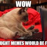 funny cat meme | WOW I THOUGHT MEMES WOULD BE FUNNY | image tagged in quit looking at cats online | made w/ Imgflip meme maker