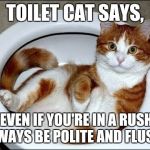 Toilet Cat | TOILET CAT SAYS, "EVEN IF YOU'RE IN A RUSH, ALWAYS BE POLITE AND FLUSH". | image tagged in toilet cat | made w/ Imgflip meme maker