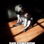 Depressed Pug | WHEN YOU REALIZE THAT 5 YEAR OLD STOLE YOUR MEME AND SOMEHOW IT WAS BETTER | image tagged in depressed pug | made w/ Imgflip meme maker