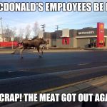moose in quebec | MACDONALD'S EMPLOYEES BE LIKE OH CRAP! THE MEAT GOT OUT AGAIN! | image tagged in moose in quebec | made w/ Imgflip meme maker