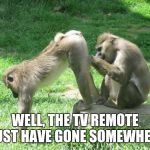 monkeyass | WELL, THE TV REMOTE MUST HAVE GONE SOMEWHERE! | image tagged in monkeyass | made w/ Imgflip meme maker