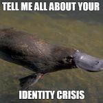 Identity Crisis | TELL ME ALL ABOUT YOUR IDENTITY CRISIS | image tagged in identity crisis | made w/ Imgflip meme maker